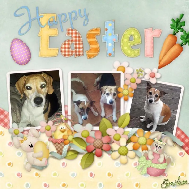 Andachtsbild von Sabine mit Luna & Milo tief im Herzen 