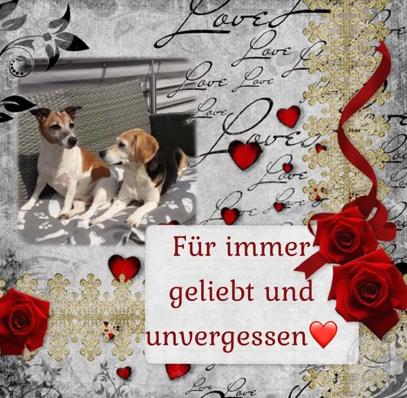 Andachtsbild von Sabine mit Luna & Milo tief im Herzen 