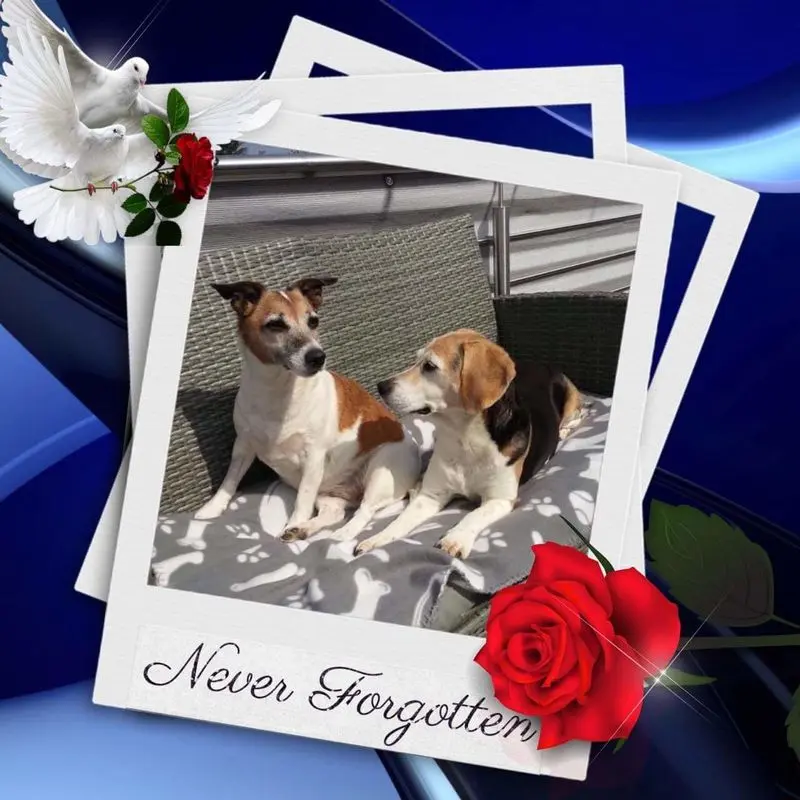 Andachtsbild von Sabine mit Luna & Milo tief im Herzen 