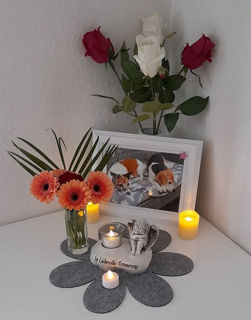 Andachtsbild von Sabine mit Luna & Milo tief im Herzen 