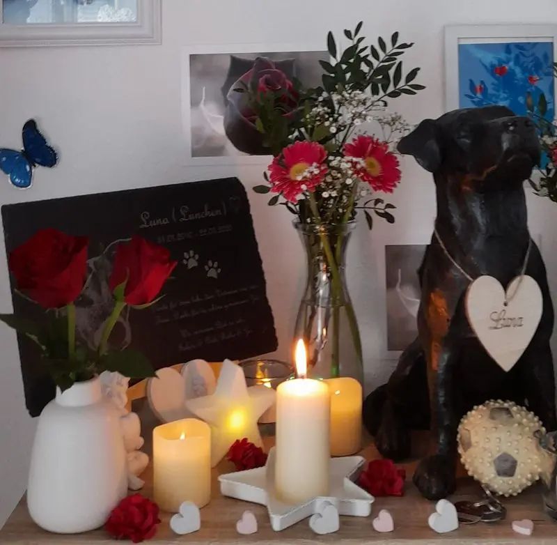 Andachtsbild von Sabine mit Luna & Milo tief im Herzen 