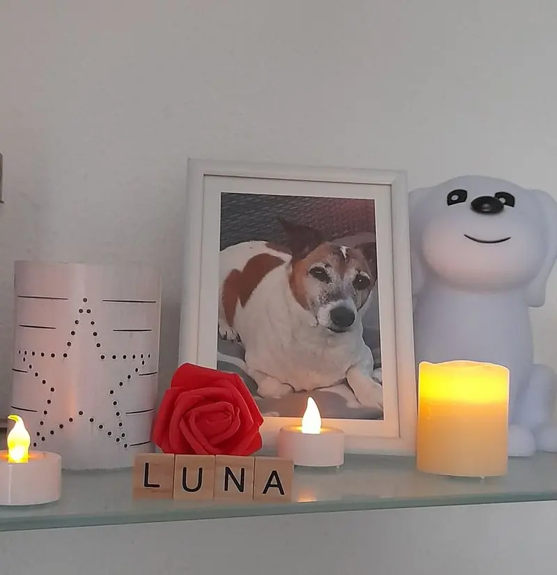 Andachtsbild von Sabine mit Luna & Milo tief im Herzen 