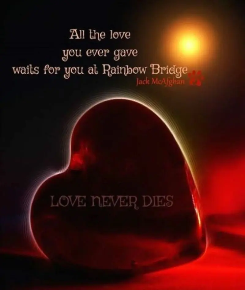 Andachtsbild von Sabine mit Luna & Milo tief im Herzen