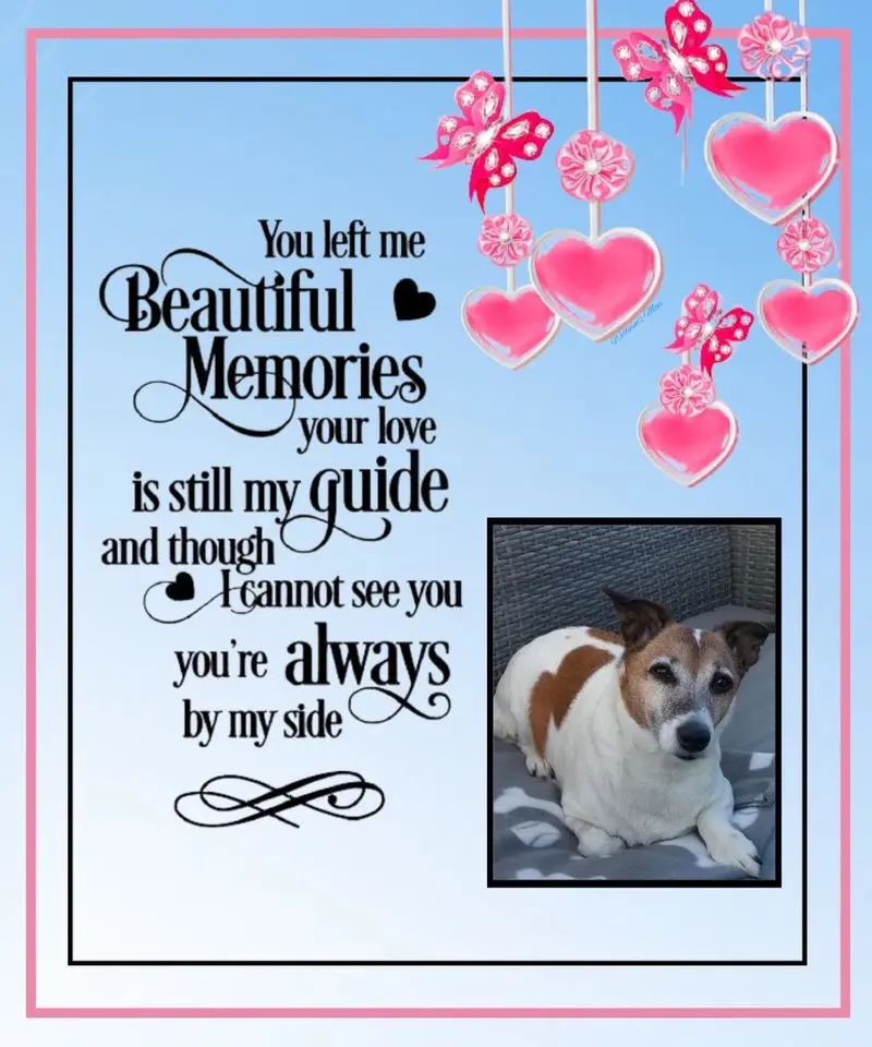 Andachtsbild von Sabine mit Luna & Milo tief im Herzen 