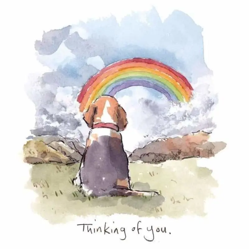 Andachtsbild von Sabine mit Luna & Milo tief im Herzen 