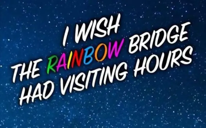 Andachtsbild von Sabine mit Luna & Milo tief im Herzen 