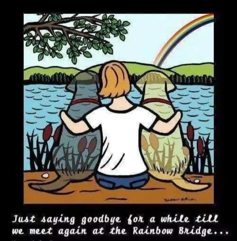 Andachtsbild von Sabine mit Luna & Milo tief im Herzen