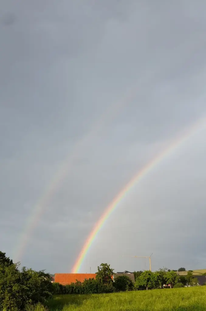 Andachtsbild von Sabine mit Luna & Milo tief im Herzen 