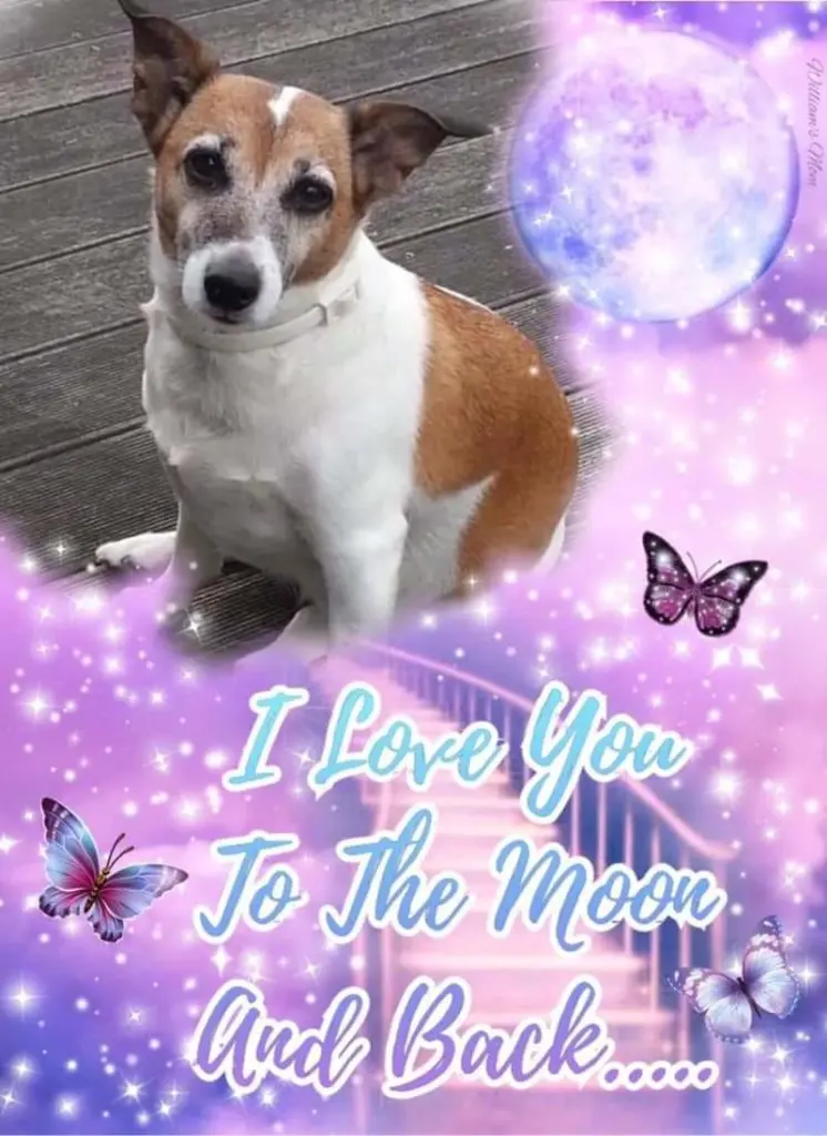 Andachtsbild von Sabine mit Luna & Milo tief im Herzen 