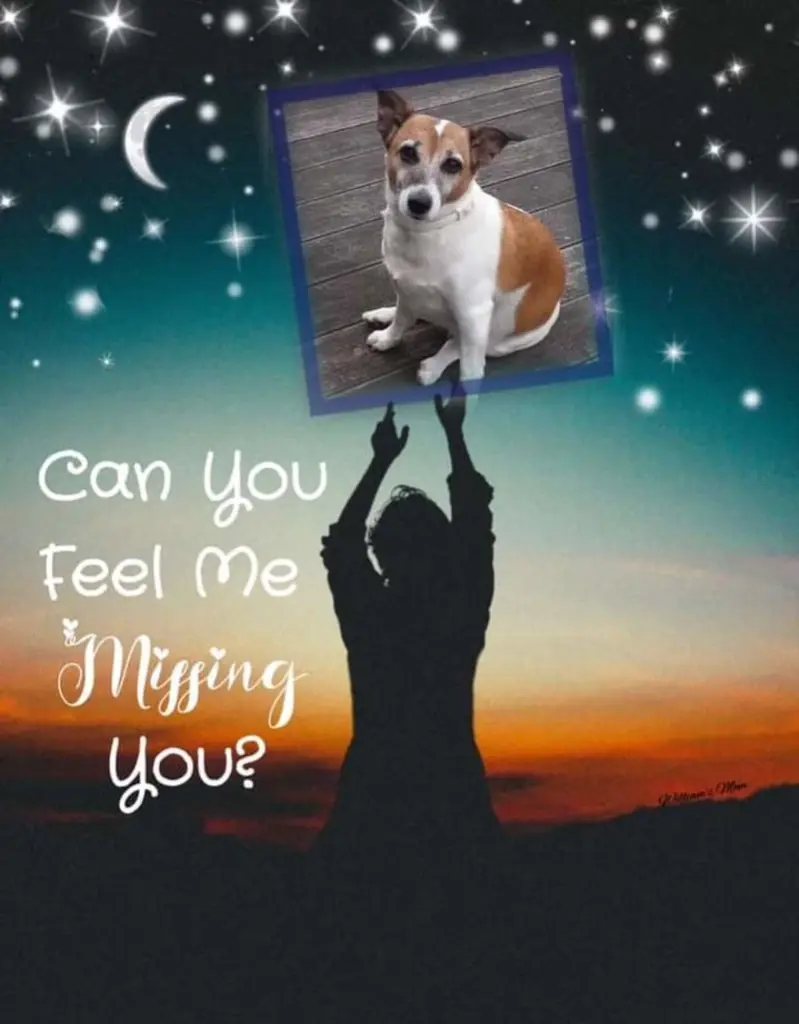 Andachtsbild von Sabine mit Luna & Milo tief im Herzen