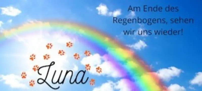 Andachtsbild von Sabine mit Luna & Milo tief im Herzen 