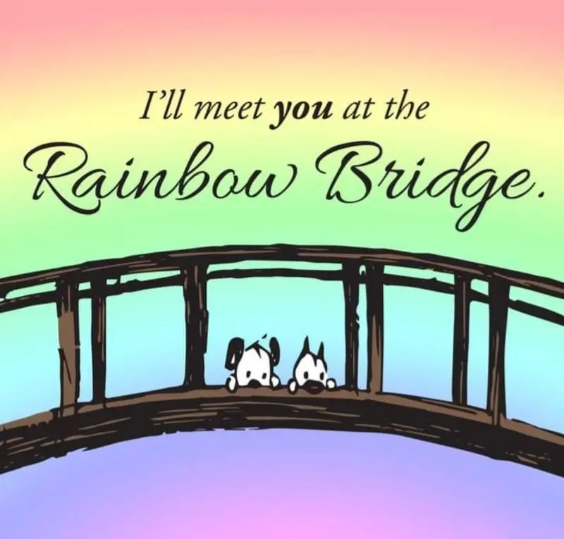 Andachtsbild von ❤ Ich liebe Dich ❤