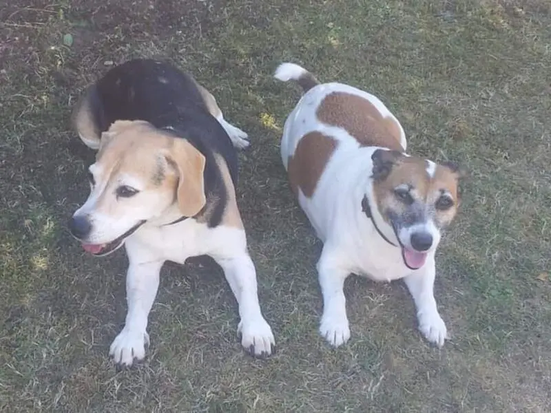 Andachtsbild von ❤ Ich liebe Dich ❤