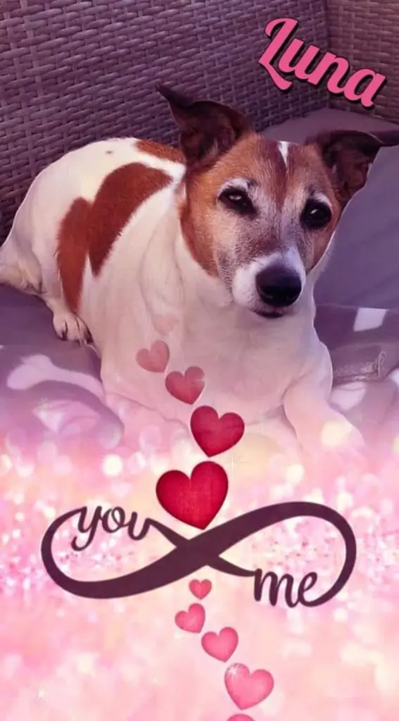 Andachtsbild von ❤ Ich liebe Dich ❤