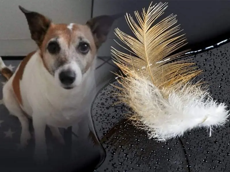 Andachtsbild von ❤ Ich liebe Dich ❤