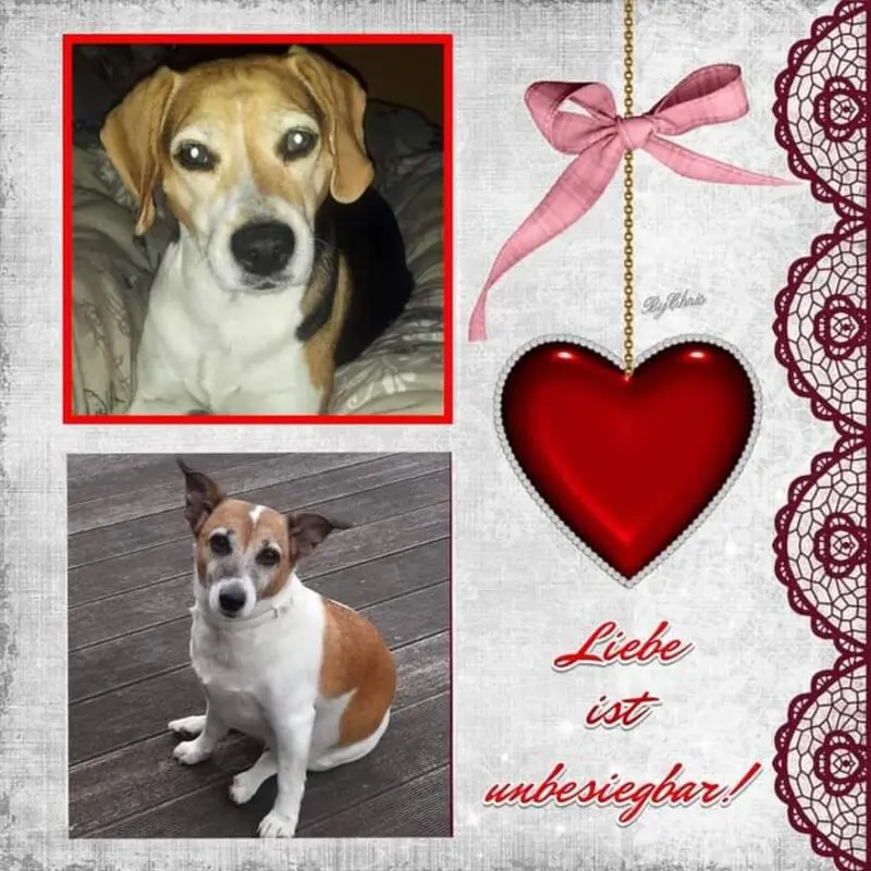 Andachtsbild von ❤ Ich liebe Dich ❤