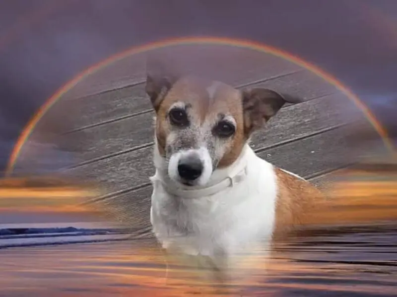 Andachtsbild von ❤ Ich liebe Dich ❤