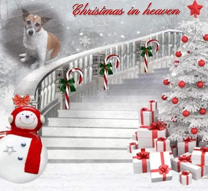 Andachtsbild von ❤ Ich liebe Dich ❤