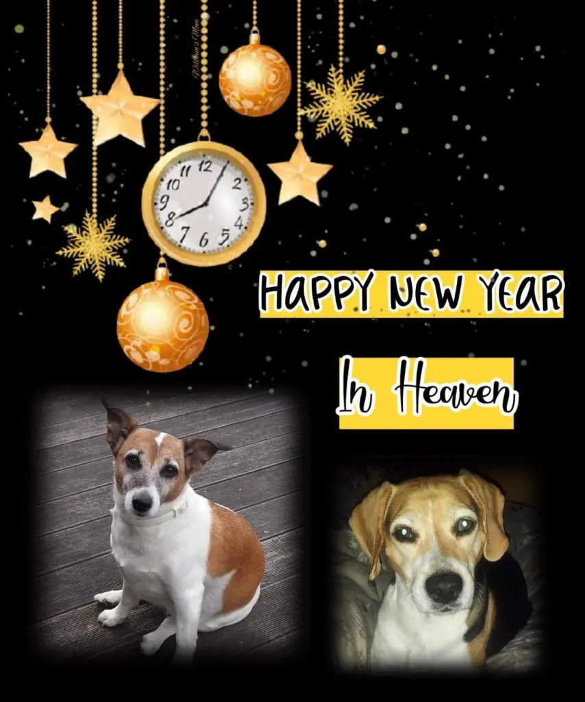 Andachtsbild von ❤ Ich liebe Dich ❤