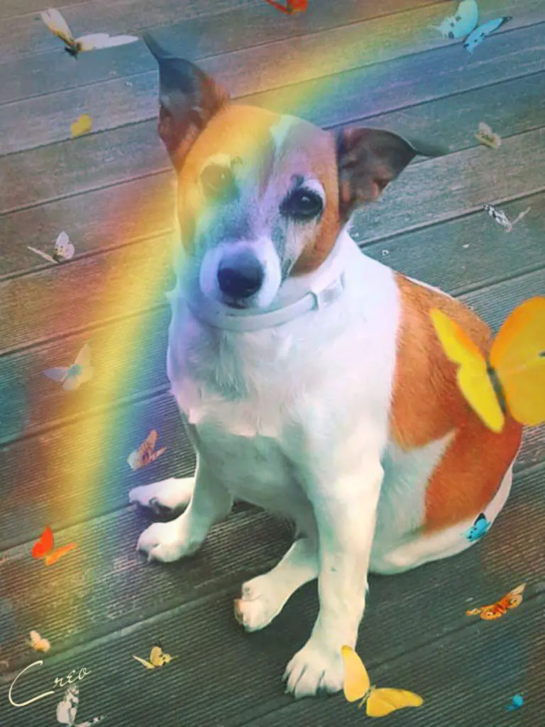 Andachtsbild von ❤ Ich liebe Dich ❤