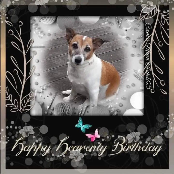 Andachtsbild von ❤ Ich liebe Dich ❤