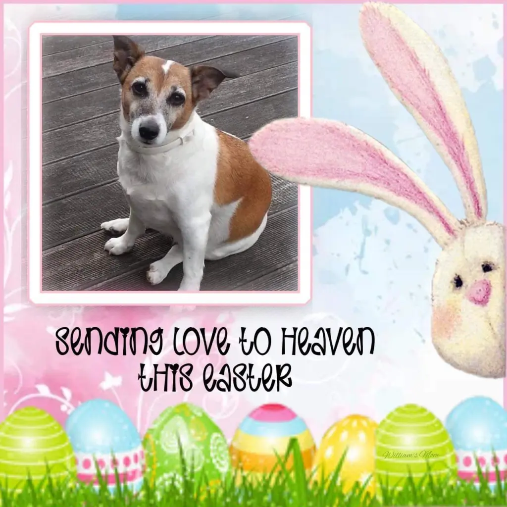 Andachtsbild von Sabine mit Luna & Milo tief im Herzen 