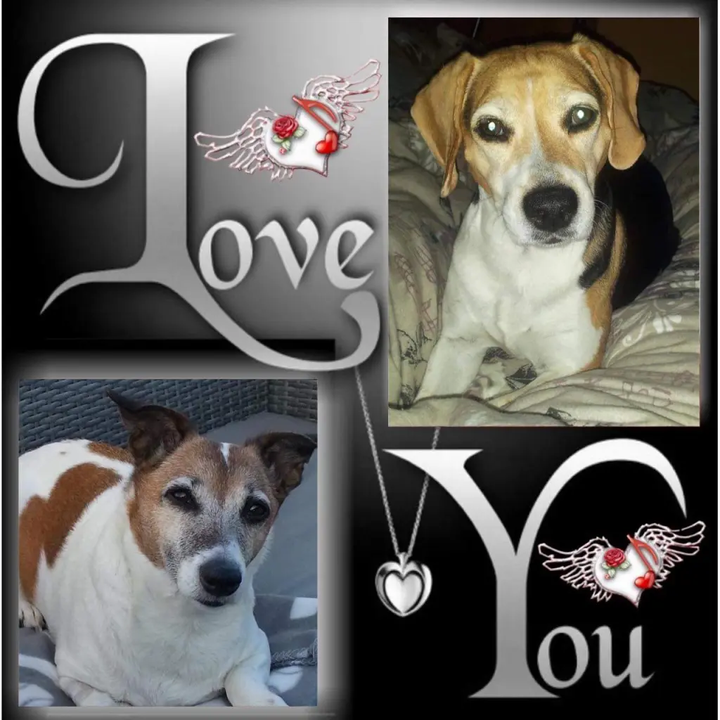 Andachtsbild von Sabine mit Luna & Milo tief im Herzen 