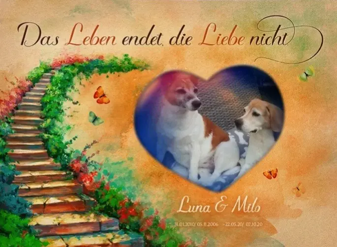 Andachtsbild von Sabine mit Luna & Milo tief im Herzen 