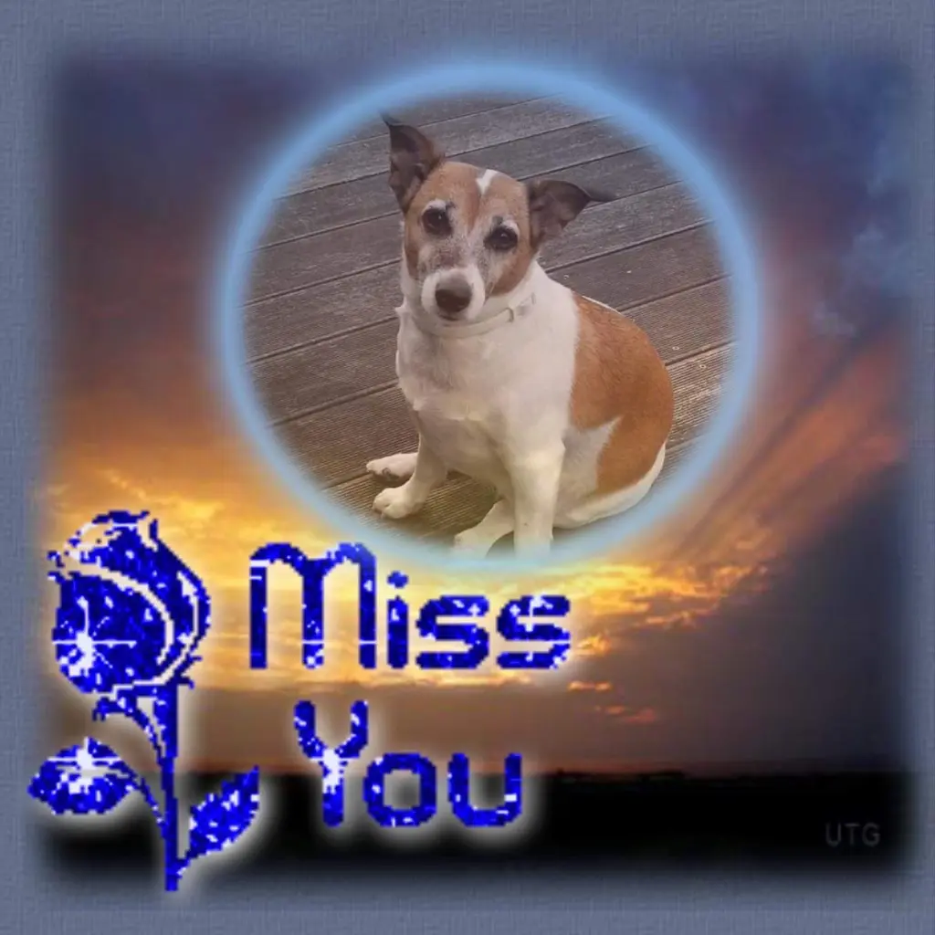 Andachtsbild von Sabine mit Luna & Milo tief im Herzen 