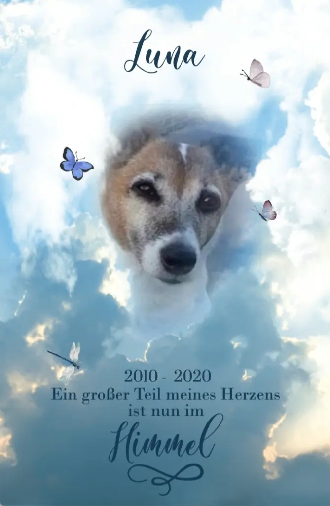 Andachtsbild von Sabine mit Luna & Milo tief im Herzen