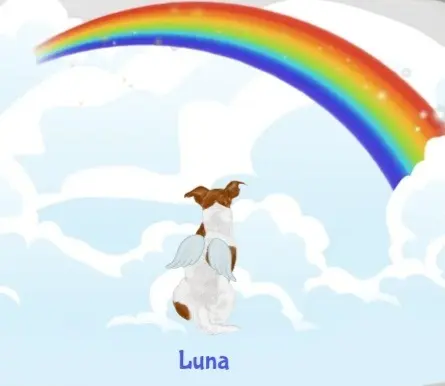 Andachtsbild von Sabine mit Luna & Milo tief im Herzen