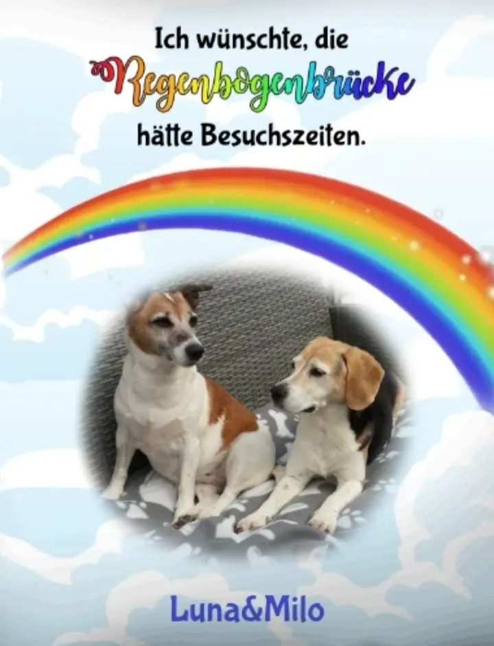 Andachtsbild von Sabine mit Luna & Milo tief im Herzen