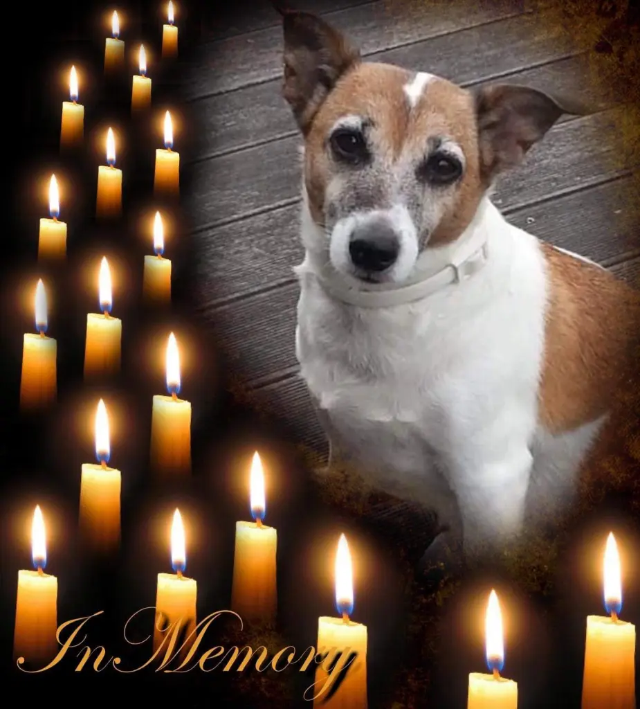 Andachtsbild von Sabine mit Luna & Milo tief im Herzen