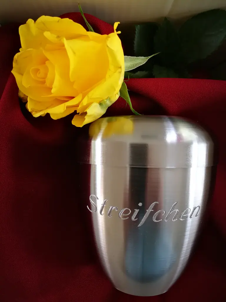 Image from Streifchen