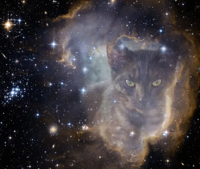 Image from Samson