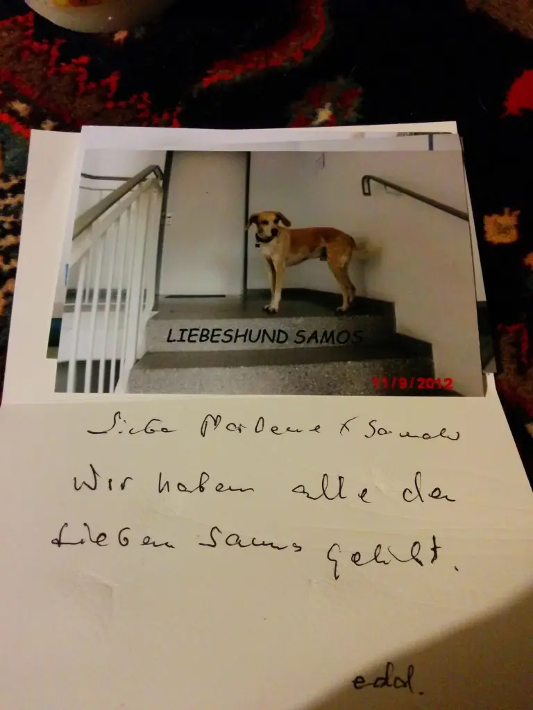 Condolence image of Edi (Nachbar)