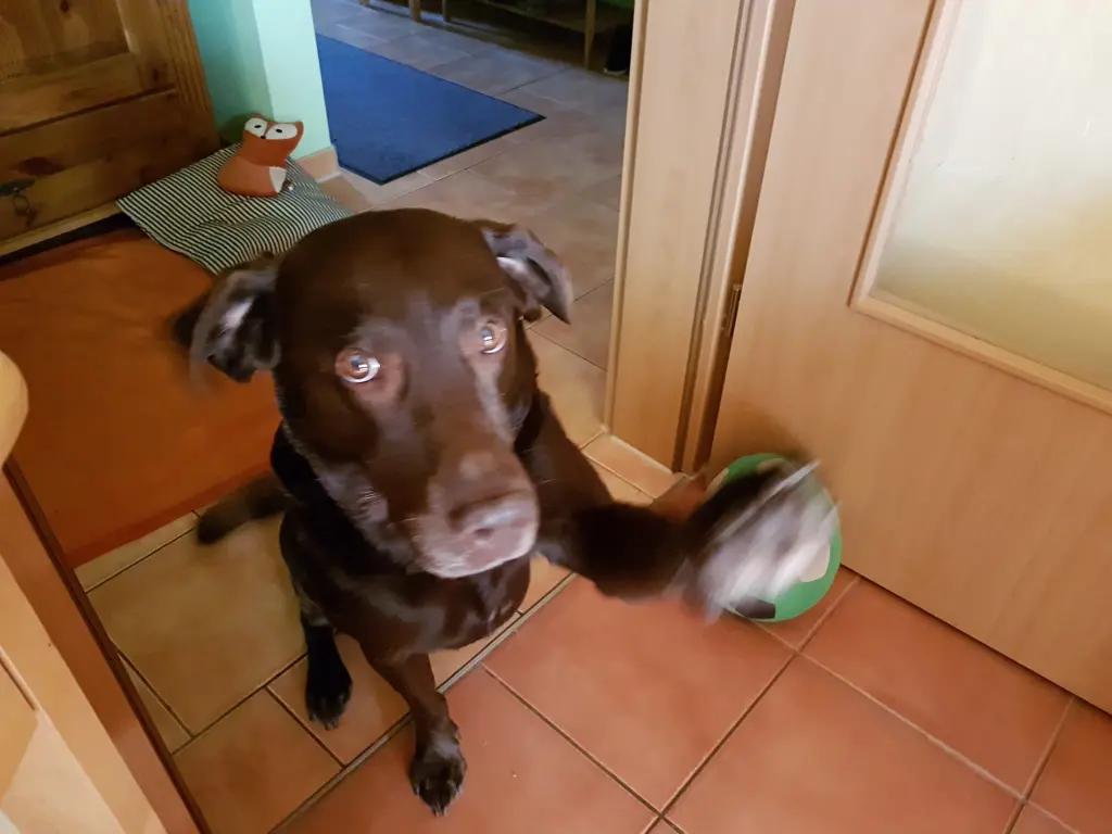 Andachtsbild von Silvana 