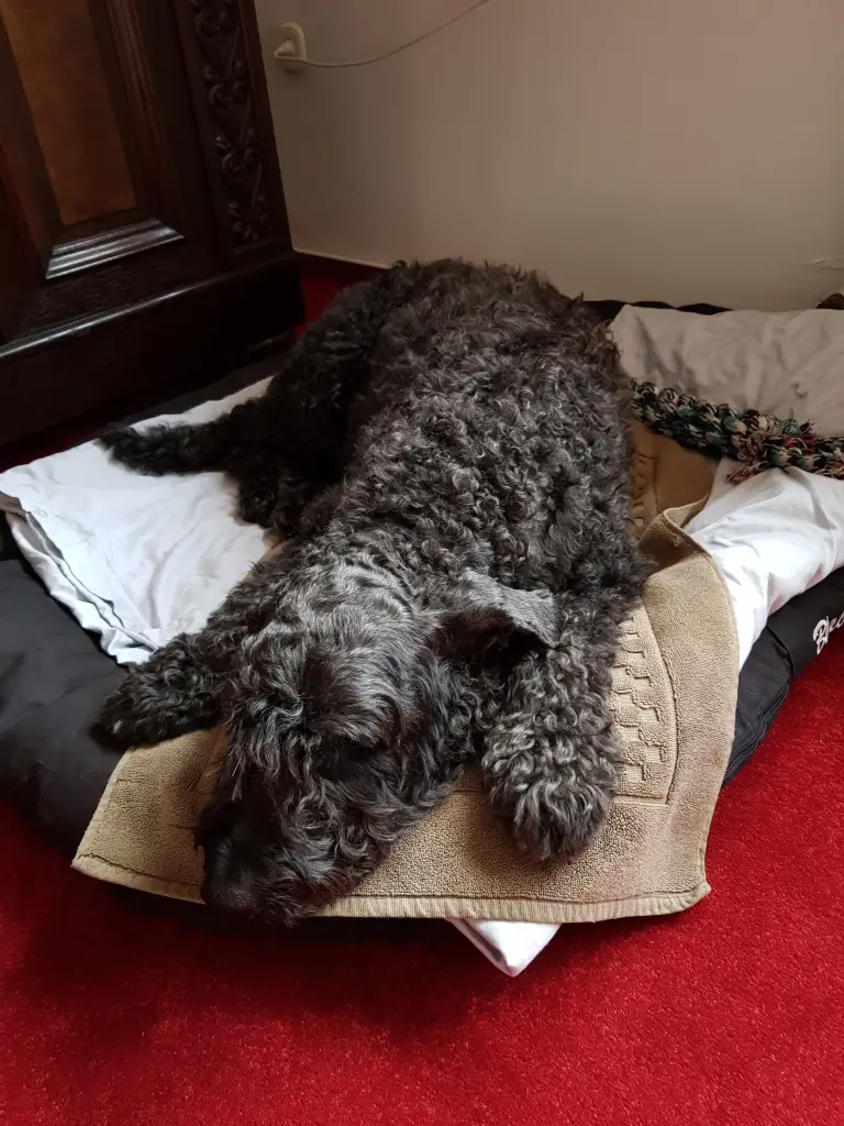 Andachtsbild von Martina