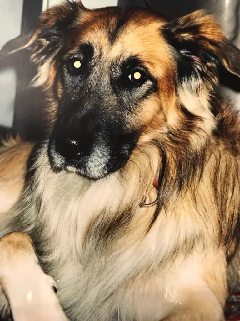 Condolence image of Kim
