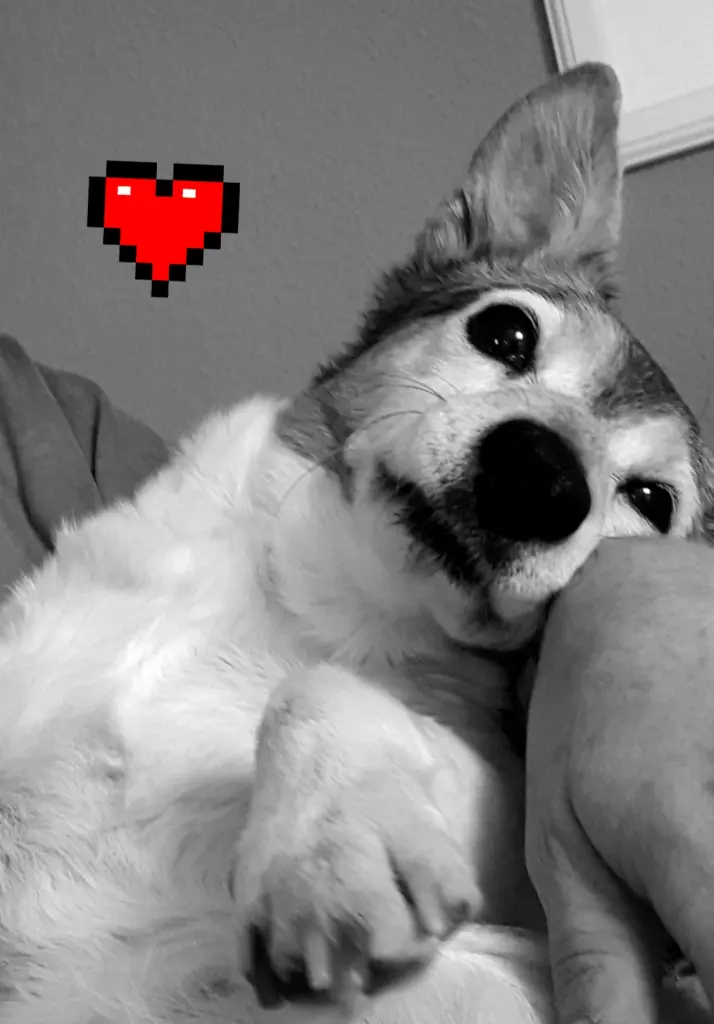 Andachtsbild von Kerstin