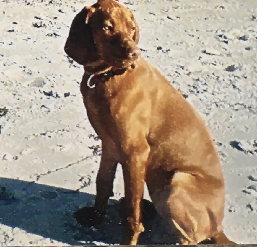 Image from Madgya