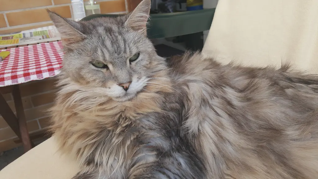 Condolence image of Barbara