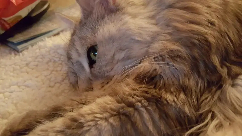 Condolence image of Barbara