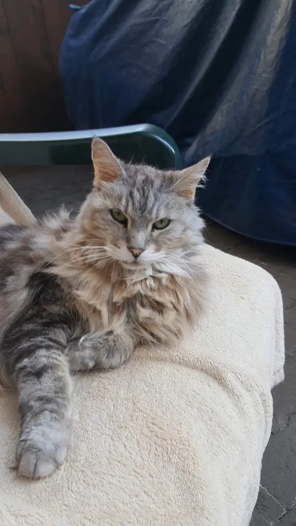 Condolence image of Barbara