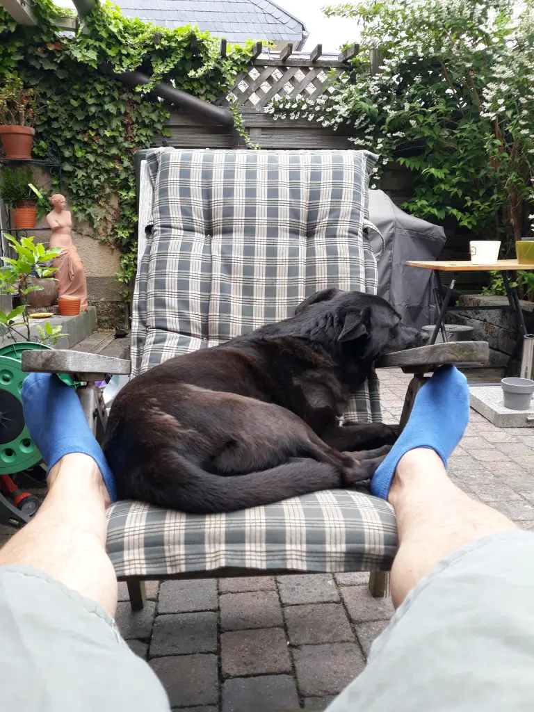 Image from Moritz