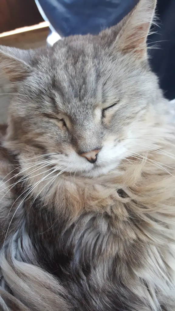 Condolence image of Barbara