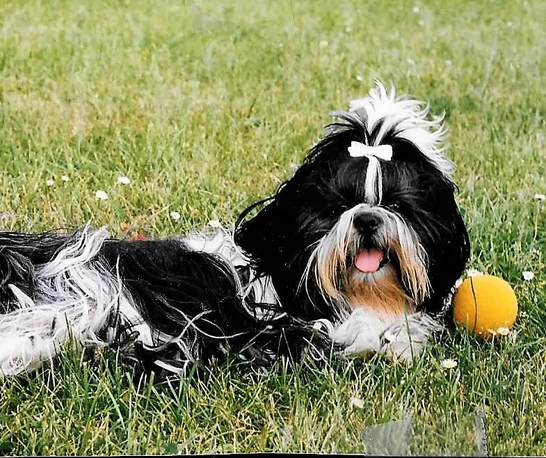 Andachtsbild von Karin