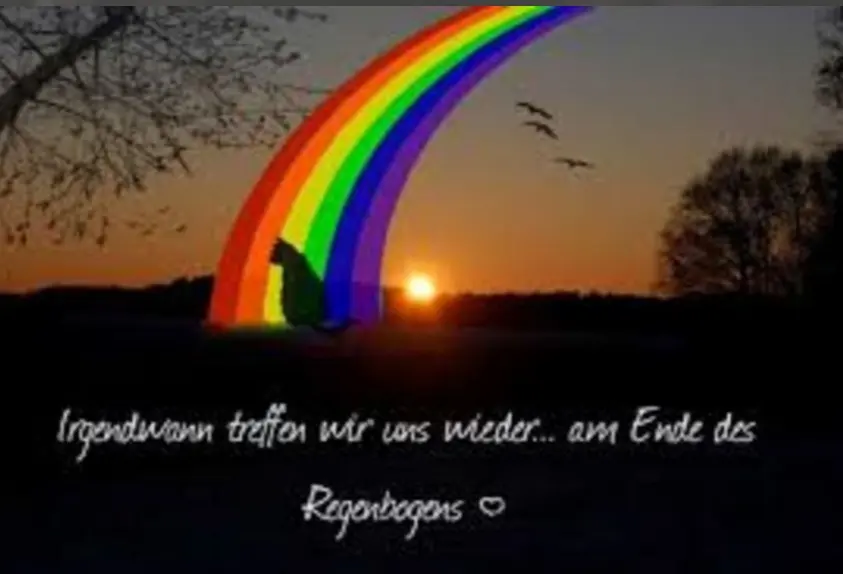 Condolence image of Petra mit Timmy im ♥️