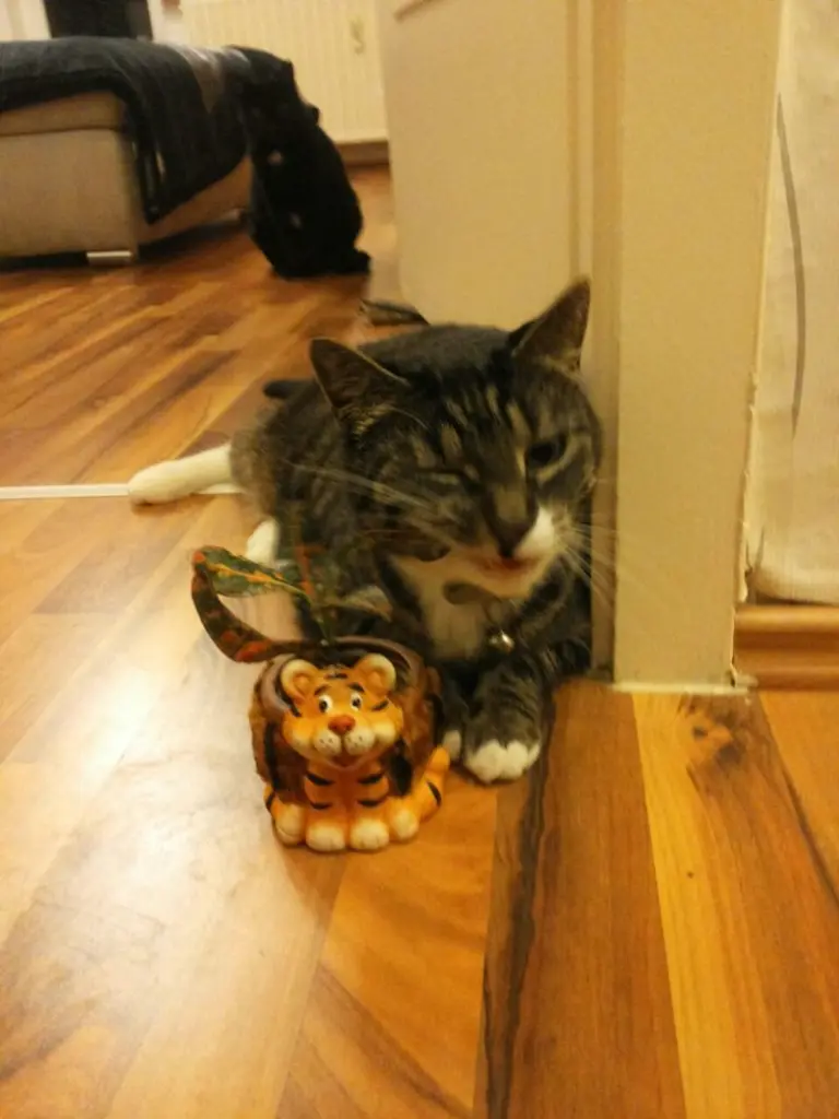 Condolence image of Mama