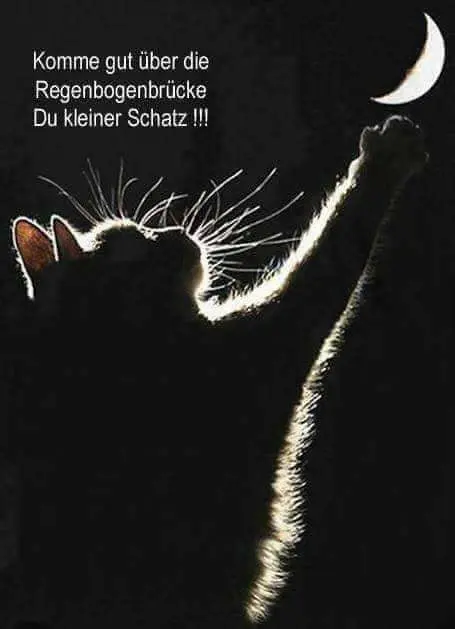Condolence image of Barbara
